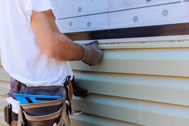 Affordable Siding Repair solutions in Alledonia, OH